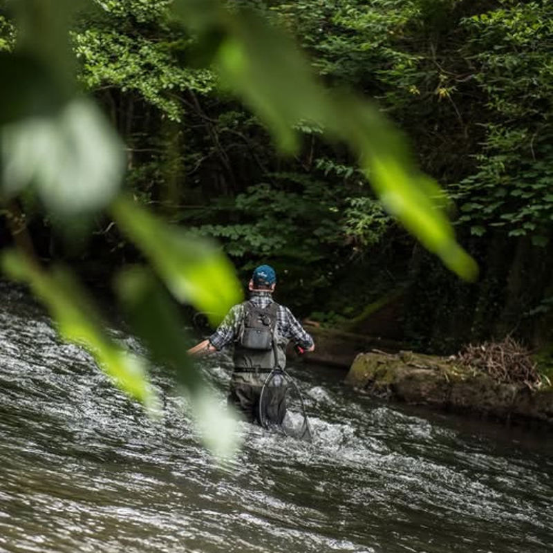 Wychwood Gorge Waders